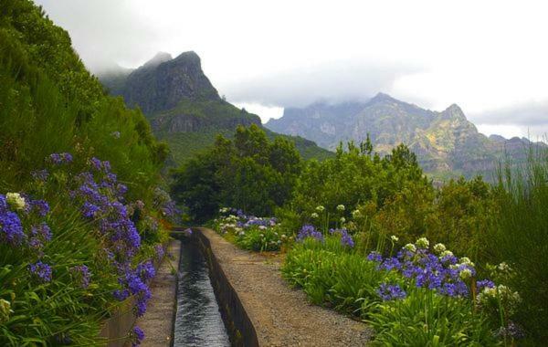 Machico Nature Exterior photo
